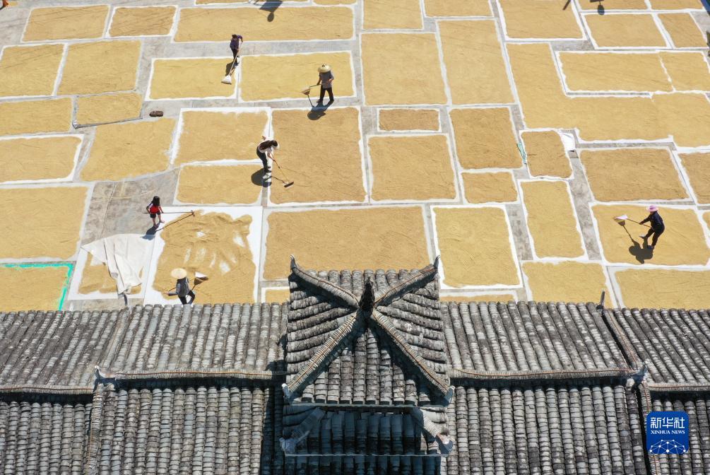 二维码